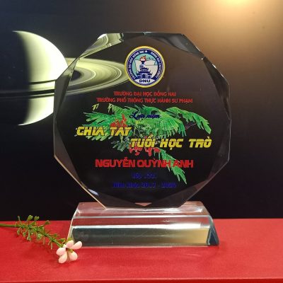 Kỷ Niệm Chương Thuỷ Tinh