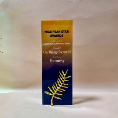 Kỷ Niệm Chương Pha Lê