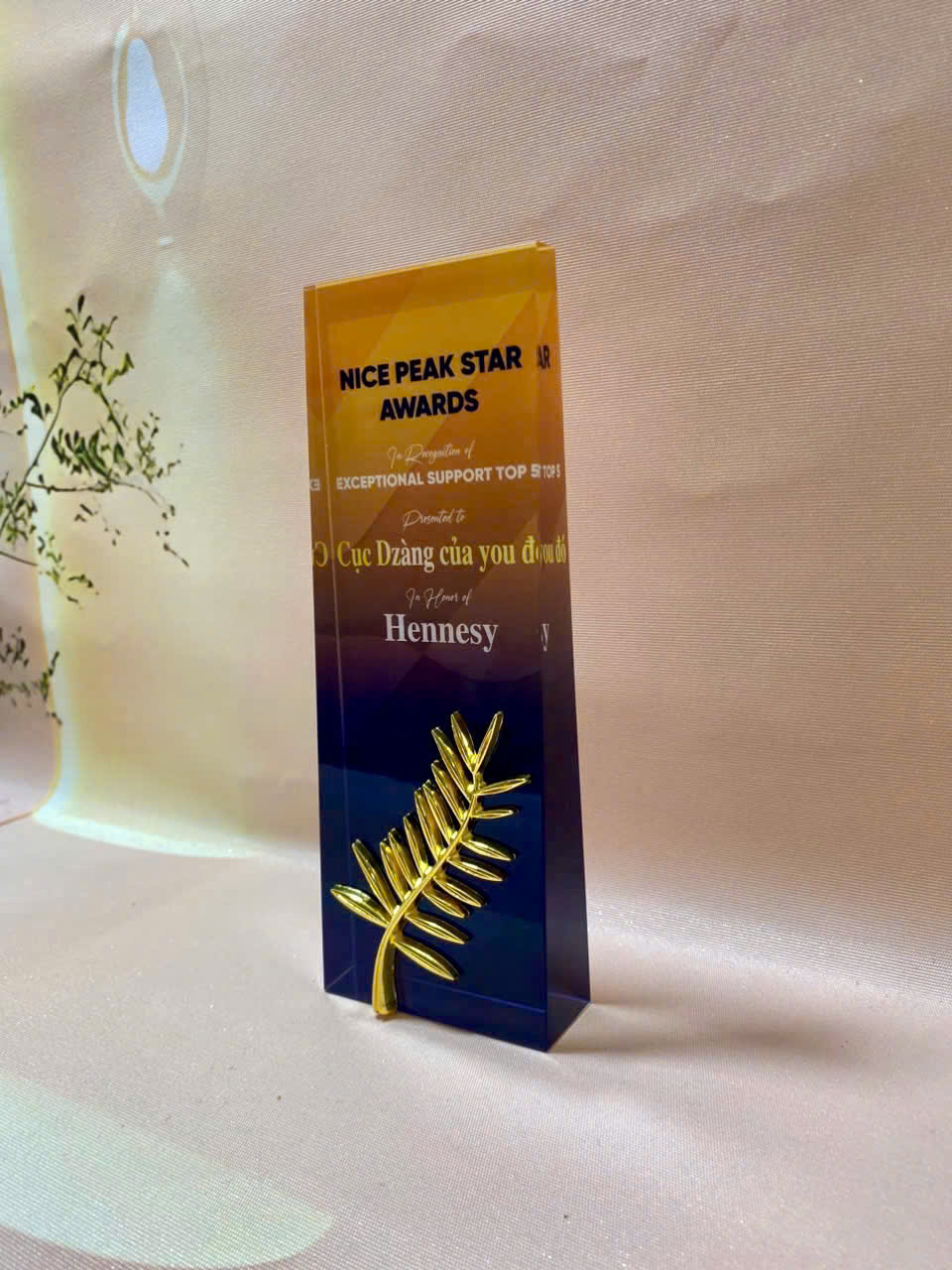 Kỷ Niệm Chương Pha Lê Kỷ Niệm Chương Pha Lê