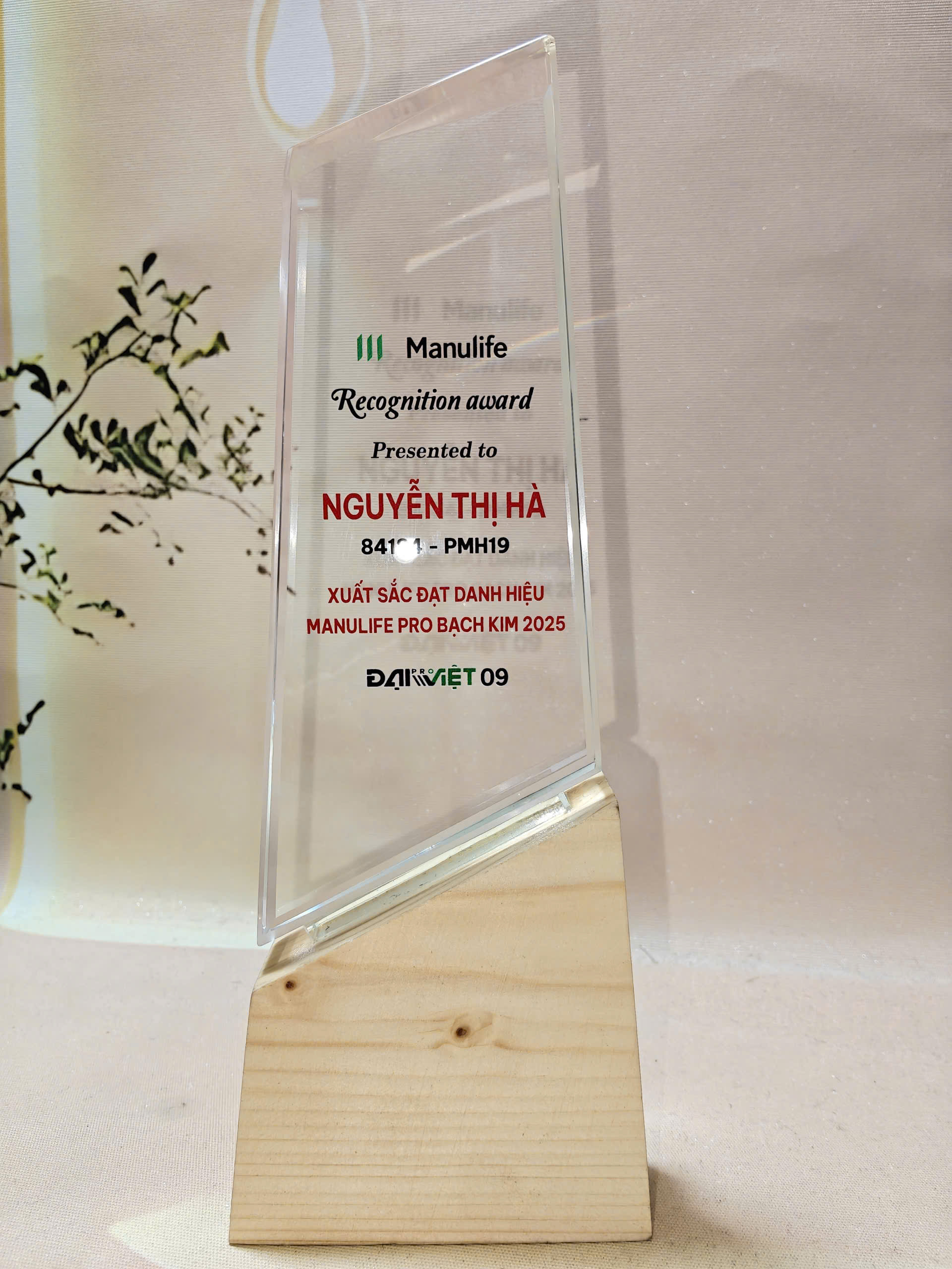 Kỷ niệm chương pha lê đế gỗ Kỷ niệm chương pha lê đế gỗ