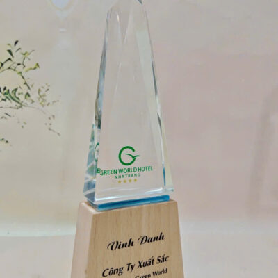 Kỷ niệm chương pha lê đế gỗ